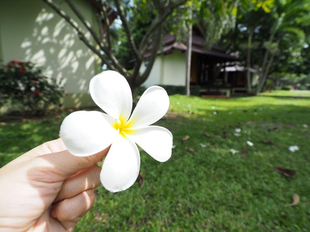 Baan Pun Sook Resort Chao Lao Beach Ngoại thất bức ảnh
