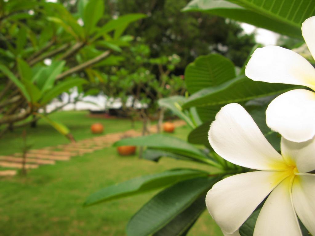 Baan Pun Sook Resort Chao Lao Beach Ngoại thất bức ảnh